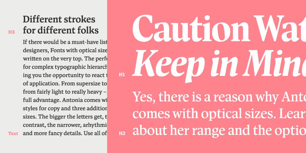 Antonia H3 Bold Italic Font preview